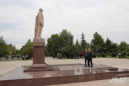 Masallı və Yardımlı rayonlarından olan vətəndaşların qəbulu keçirilib VİDEO/FOTO