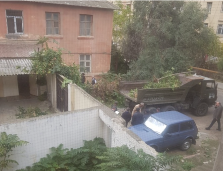 Nizami rayonunda “ağac soyqırımı” - Nazir və başçı məsələdən xəbərdardırlar, amma “soyqırım” davam edir + Fotolar, Video