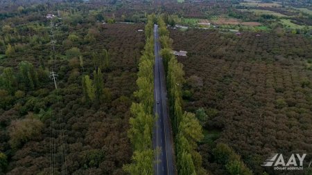 Zaqatalada Əliabad-Bəhmətli-Kürdəmir-Lahıc yolu yenidən qurulub VİDEO/FOTO