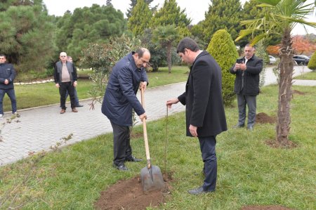 Lənkəran ŞİH başçısı Taleh Qaraşov vəzifəsini şərəflə yerinə yetirən icra başçısıdır