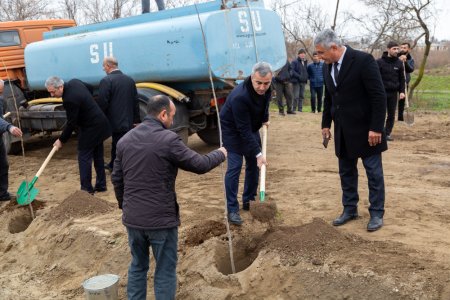 Salyanda"Yaşıl dünya naminə həmrəylik ili" çərçivəsində ağacəkmə aksiyası keçirilib