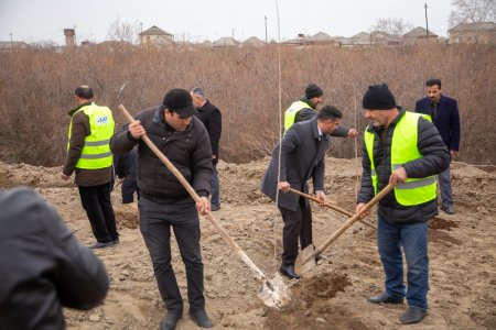 Salyanda"Yaşıl dünya naminə həmrəylik ili" çərçivəsində ağacəkmə aksiyası keçirilib